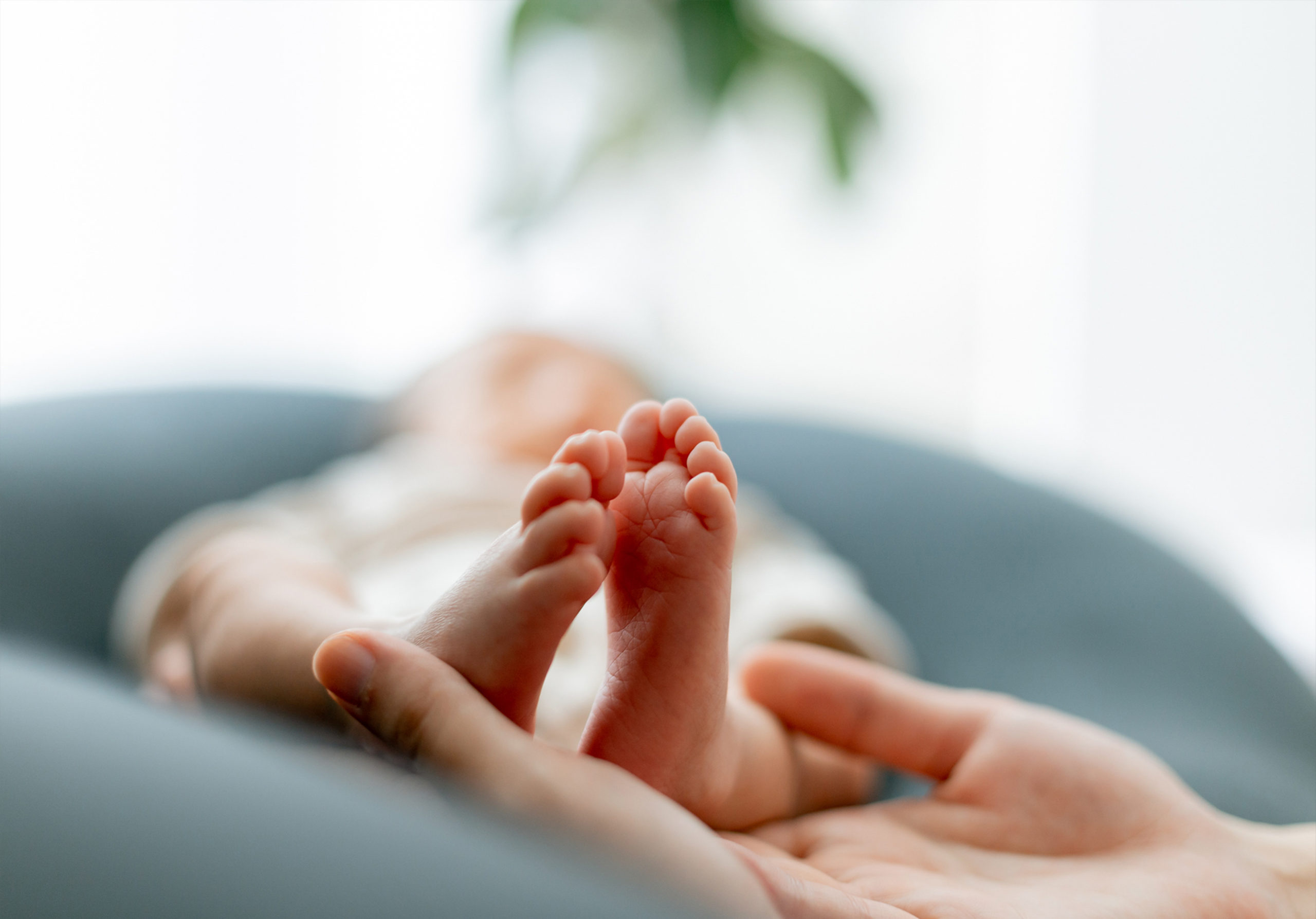 折々写真館｜そのときそのときを「らしく」｜出張撮影（埼玉・関東）