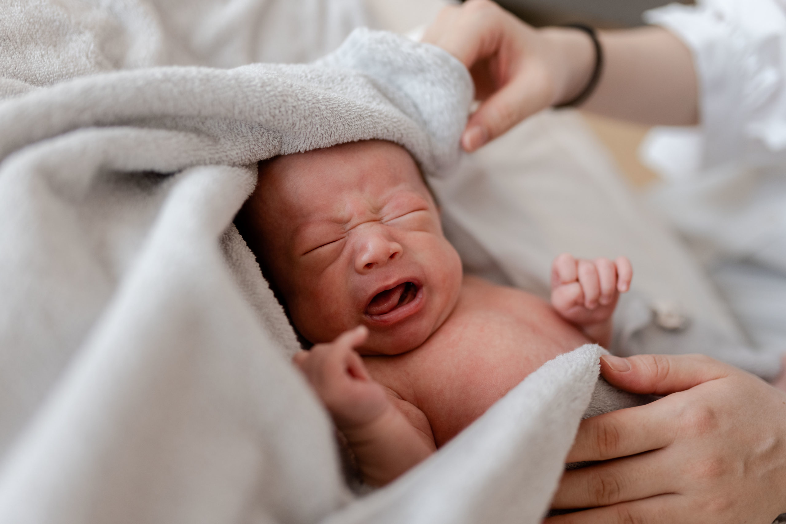 折々写真館｜そのときそのときを「らしく」｜出張撮影（埼玉・関東）